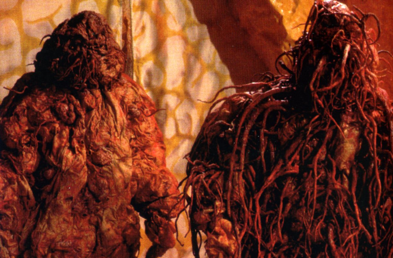 Illustration for article titled Every Single Doctor Who Story, Ranked from Best to Worst